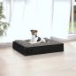Preview: Hundebett Schwarz 51,5x44x9 cm Massivholz Kiefer