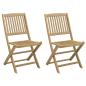Preview: Klappst?hle, 2 St?ck, 57 x 48,5 x 90 cm, Massivholz Akazie