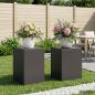 Preview: ARDEBO.de - Pflanzenständer 2 pcs Schwarz 30 x 30 x 40 cm Stahl