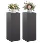 Preview: Pflanzenständer 2 pcs Schwarz 30 x 30 x 80 cm Stahl
