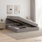 Preview: ARDEBO.de - Aufbewahrungsbett mit Matratze Taupe 160 x 200 cm Samt