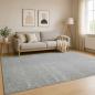 Preview: ARDEBO.de - Teppich Grau 190 x 300 cm 100% Polyester 3 mm Waschbar
