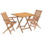 Preview: 3-teiliges klappbares Garten Bistro Set 3 stk. Natur