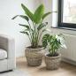 Preview: ARDEBO.de - Blumentopfkorb GENDT 2 stk. Natürliches Grau Kubu Rattan