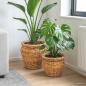 Preview: ARDEBO.de - Blumentopfkorb mit Speicher GENDT 2 stk. Naturbraun Kubu Rattan