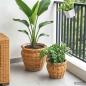 Preview: Blumentopfkorb mit Speicher GENDT 2 stk. Naturbraun Kubu Rattan