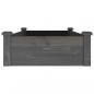 Preview: Hochbeet mit Einsatz Grau 120x60x25 cm Massivholz Tanne