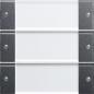 Preview: ARDEBO.de Gira 213328 Wippenset 3fach mit Beschriftungsfeld, Klar / Anthrazit
