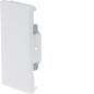 Preview: ARDEBO.de - BRS6513069010 Endstück Stahl BRS 70x130mm OT 80mm rw