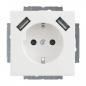 Preview: ARDEBO.de - 20 EUCB2USB-84 20 EUCB2USB-84 SCHUKO® 2x USB-Steckdose