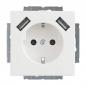 Preview: Busch-jaeger 20 EUCB2USB-84 20 EUCB2USB-84 SCHUKO® 2x USB-Steckdose