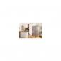 Preview: Gorenje R619EES5 Standkühlschrank, 59,5cm breit, 398L, DynamicCooling-System, SuperCool, grau metallic