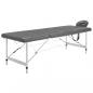Preview: ARDEBO.de - Massagetisch mit 4 Zonen Aluminiumrahmen Anthrazit 186×68 cm