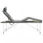 Preview: Massagetisch mit 4 Zonen Aluminiumrahmen Anthrazit 186×68 cm