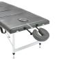 Preview: Massagetisch mit 4 Zonen Aluminiumrahmen Anthrazit 186×68 cm