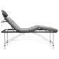 Preview: Massagetisch mit 4 Zonen Aluminiumrahmen Anthrazit 186×68 cm