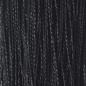 Preview: Fadenvorhänge 2 Stk. 100 x 250 cm Schwarz