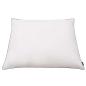 Preview: Kissen 2 Stk. Daunen-/Federfüllung Leicht 80x80 cm Weiß