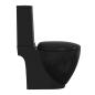 Preview: Keramik-Toilette Abgang Horizontal Schwarz