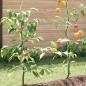 Preview: Tomaten-Spiralstäbe 20 Stk. 110 cm Verzinkter Stahl