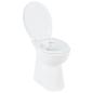 Preview: Hohe Spülrandlose Toilette Soft-Close 7 cm Höher Keramik Weiß 
