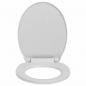 Preview: Toilettensitz mit Absenkautomatik Hellgrau Oval