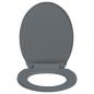 Preview: Toilettensitz mit Absenkautomatik Grau Oval