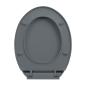 Preview: Toilettensitz mit Absenkautomatik Grau Oval