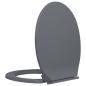 Preview: Toilettensitz mit Absenkautomatik Grau Oval