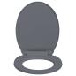Preview: Toilettensitz mit Absenkautomatik Grau Oval