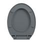 Preview: Toilettensitz mit Absenkautomatik Grau Oval
