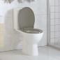Preview: Toilettensitz mit Absenkautomatik Grau Oval