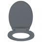 Preview: Toilettensitz mit Absenkautomatik Quick-Release Grau Oval