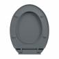 Preview: Toilettensitz mit Absenkautomatik Quick-Release Grau Oval