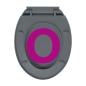 Preview: Toilettensitz mit Absenkautomatik Quick-Release Grau Oval