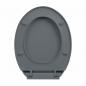 Preview: Toilettensitz mit Absenkautomatik Quick-Release Grau Oval