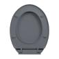 Preview: Toilettensitz mit Absenkautomatik Quick-Release Grau Oval