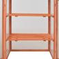 Preview: Gewächshaus-Schrank Holz 75x47x109 cm