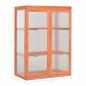 Preview: Gewächshaus-Schrank Holz 75x47x109 cm
