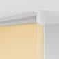 Preview: Verdunkelungsrollo Verdunklungsrollo  80 x 230 cm beige