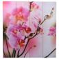 Preview: Raumteiler klappbar 160 x 170 cm Blume