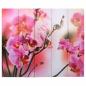 Preview: Raumteiler klappbar 200 x 170 cm Blume 