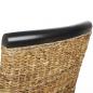 Preview: Esszimmerstühle 2 Stk. Abaca und Mango Massivholz