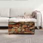Preview: Couchtisch Truhe Altholz Massiv 80x40x35 cm
