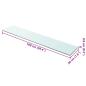 Preview: Regalboden Glas Transparent 100x20 cm