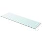 Preview: Regalboden Glas Transparent 100x30 cm