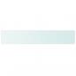 Preview: Regalboden Glas Transparent 110 cm x 20 cm