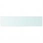 Preview: Regalboden Glas Transparent 110x25 cm