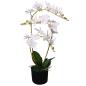 Preview: Künstliche Orchidee mit Topf 65 cm Weiß