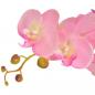 Preview: Künstliche Orchidee mit Topf 65 cm Rosa